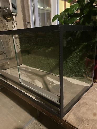 Животные: Şüşə teraryum/vivaryum akvarium tipli şkaf - Material: qalın şüşə — 2