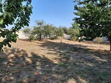 Həyət evləri və villaların satışı: 4 otaqlı, 100 kv. m, Kredit yoxdur, Orta təmir -da lalafo.az — 10 Həyət evləri və villaların satışı: 4 otaqlı, 100 kv. m, Kredit yoxdur, Orta təmir — 10