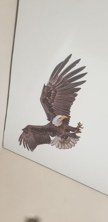 Натяжной потолок: Натяжной потолок Глянцевое, 3D потолки, Матовое — 8