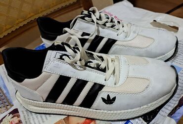 зимние обувь мужская: Мужские кроссовки, 42, Adidas, Новый, цвет - Белый, Самовывоз, Бесплатная доставка, Платная доставка