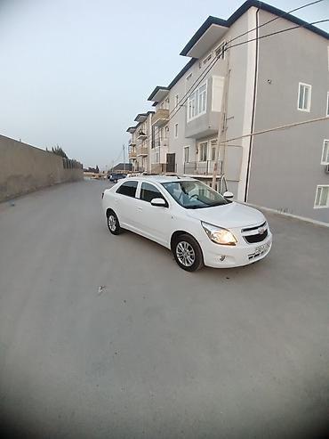 cobalt disk: Chevrolet Cobalt sedan – ağ rəng, kompakt və qənaətcil şəhər — 1