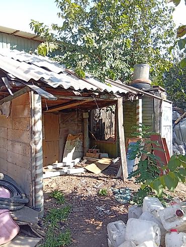 отдам даром дрова: Хватит на полный Портер, - битком!!!1,7 - 2 м³ дров, всё за .0 сом — 7
