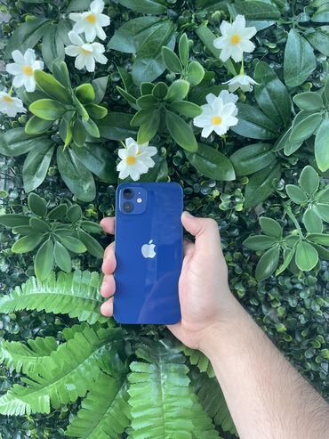 IPhone 12, 128 GB, Göy, Zəmanət, Simsiz şarj, Face ID