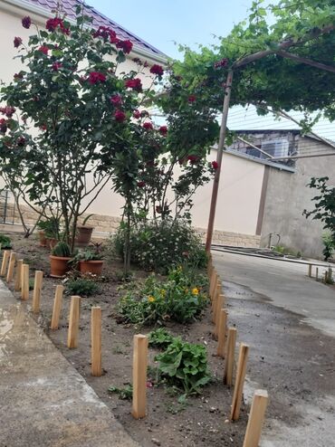 Bağ evlərinin satışı: Bakı, Bilgəh qəs., 350 kv. m, 6 otaqlı, İnternet, Telefon, Qaz — 9