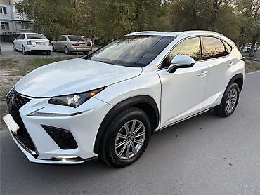 лексус транспорт: Lexus NX: 2020 г., 2 л, Автомат, Бензин, Кроссовер — 1