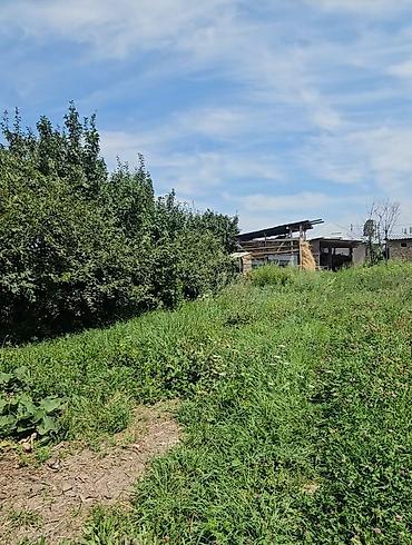 комм: 6 соток, Бизнес үчүн, Кызыл китеп, Сатып алуу-сатуу келишими — 3