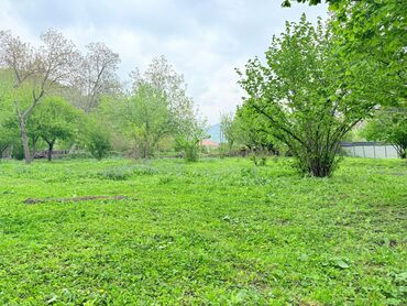 Torpaq sahələrinin satışı: 15 sot, Tikinti, Mülkiyyətçi, Kupça (Çıxarış) — 17