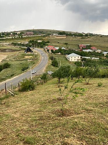 xırdalan torpaq satışı: 12 sot, Tikinti, Mülkiyyətçi, Kupça (Çıxarış) — 2