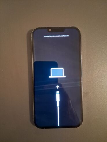 hotpoint ariston paltaryuyan: IPhone 13 Pro Max, 256 ГБ, Битый