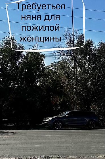 Үй персоналы жана тазалоо: Талап кылынат Багуучу киши, Иш тартиби: Ийкемдүү график — 1