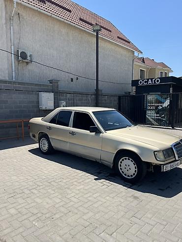 мэри: Mercedes-Benz W124: 1990 г., Седан — 3