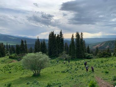 Туристические услуги: Кумысолечение Горный отдых Горный отель "Алаколь - Жыргалан" — 3