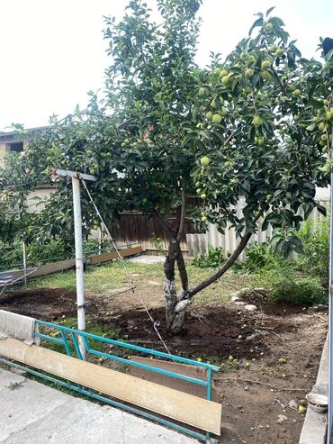 Продажа домов: Дом, 50 м², 3 комнаты, Собственник, Косметический ремонт — 18