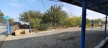 Kommersiya daşınmaz əmlakının satışı: Satışa geniş həyətyanı sahəyə malik təsərrüfat tipli obyekt təqdim — 34