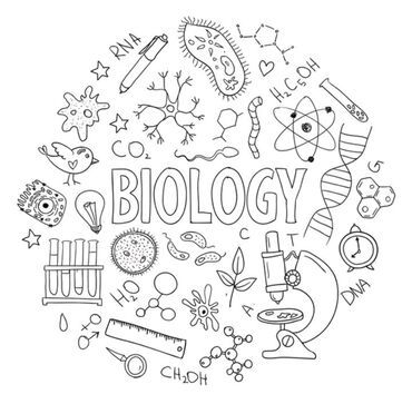 биология 9кл: Репетитор | Биология