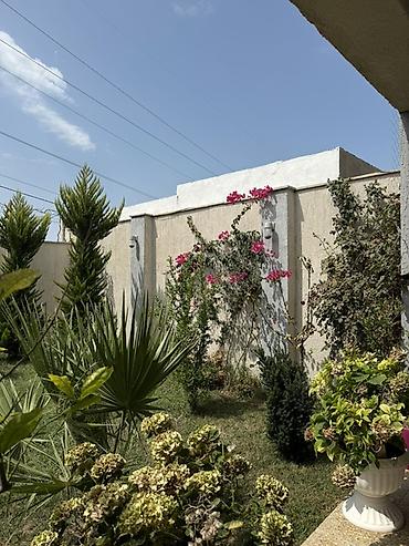 sumqayıtda ucuz evlər: Digah, 140 kv. m, 4 otaqlı, Hovuzlu, Qaz, İşıq, Su — 8