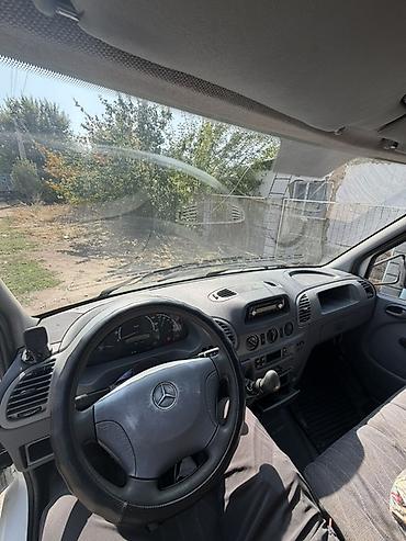 купить скотовоз: Легкий грузовик, Mercedes-Benz, Стандарт, Б/у — 8