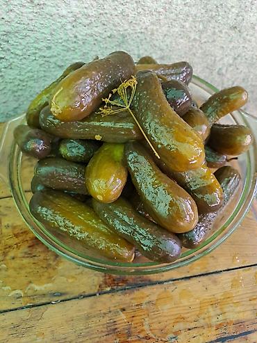 Смородина: Смородина — 26