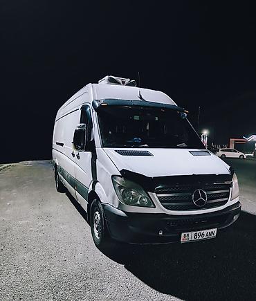 sprinter 516: Грузовик, Mercedes-Benz, Стандарт, 4 т, Б/у — 2