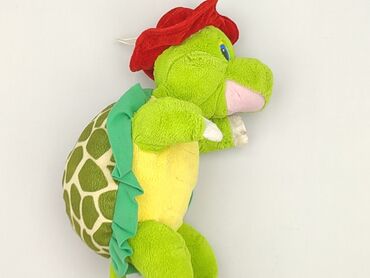 Mascot condition - Very good