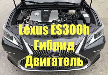 двигатель х5: Гибридный мотор Lexus 2020 г., 2.5 л, Новый, Оригинал, Япония