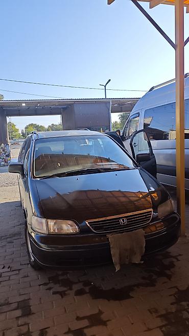 ahguep gps: Honda Odyssey: 1996 г., 2.3 л, Автомат, Бензин, Минивэн — 9