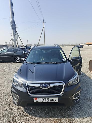 Subaru: Subaru Forester: 2019 г., 2.4 л, Автомат, Бензин, Кроссовер — 4