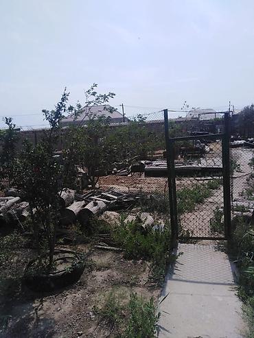 ramana sovxoz: Digah, 220 kv. m, 4 otaqlı, Hovuzsuz — 4