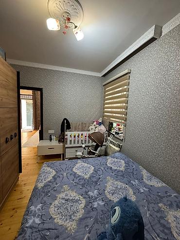 ev kirayesi: 3 otaqlı, 65 kv. m, Yeni təmirli — 6