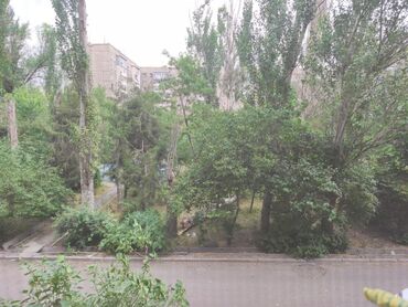 Дворники, садовники: Требуется ответственный дворник. Убирать двор 2 раза в неделю и