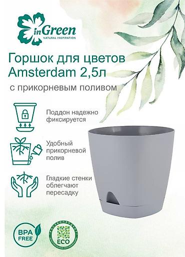 голанские розы: Коллекция AMSTERDAM- отличное решение для индивидуального дизайна — 3