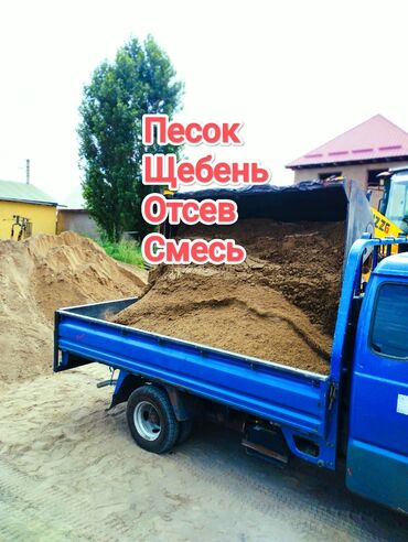 Другие животные: Песок песок песок песок песок песок песок песок песок песок песок
