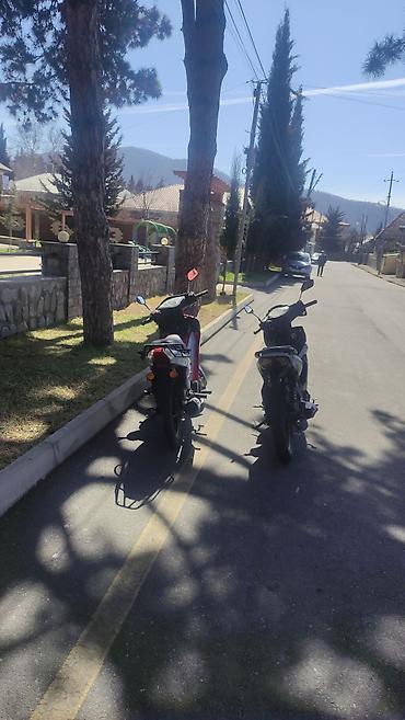 Mopedlər,skuterlər: - EGE seriyası — 10