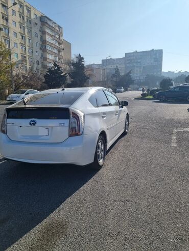 Toyota: Toyota Prius: 1.8 l | 2010 il Hetçbek — 9