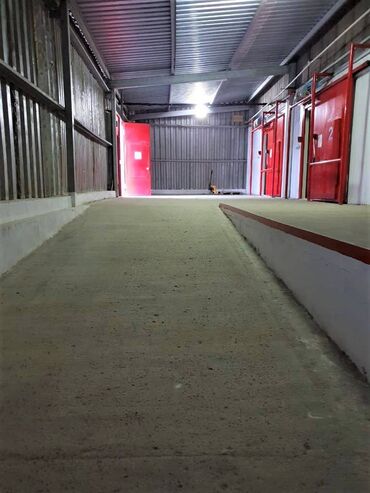 Anbar və emalatxanalar: Quru və soyuducu anbar icarəyə verilir! Şəhərin mərkəzində! -da lalafo.az — 6 Anbar və emalatxanalar: Quru və soyuducu anbar icarəyə verilir! Şəhərin mərkəzində! — 6