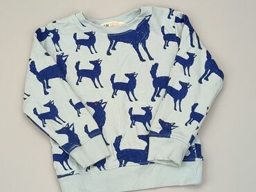 Bluza, H&M, 4 lata, stan - Bardzo dobry