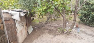 Həyət evləri və villaların satışı: 7 otaqlı, 150 kv. m, Kredit yoxdur, Orta təmir — 13