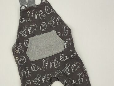 Ogrodniczki, F&F, 12-18 miesięcy, stan - Bardzo dobry