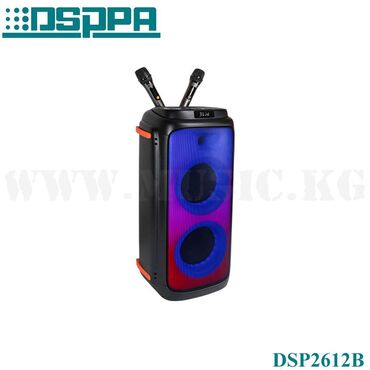 портативные колонки marshall: Портативная акустическая система DSPPA DSP2612B Портативная