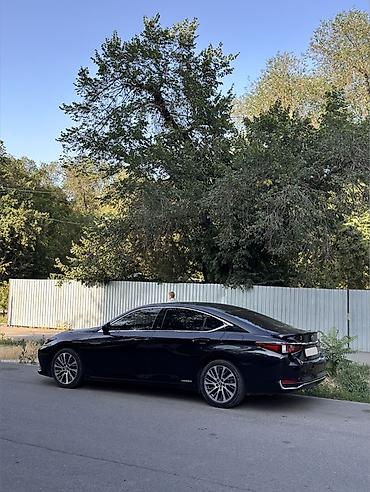 lexus es 300 2017: Lexus ES: 2019 г., Автомат, Седан — 9