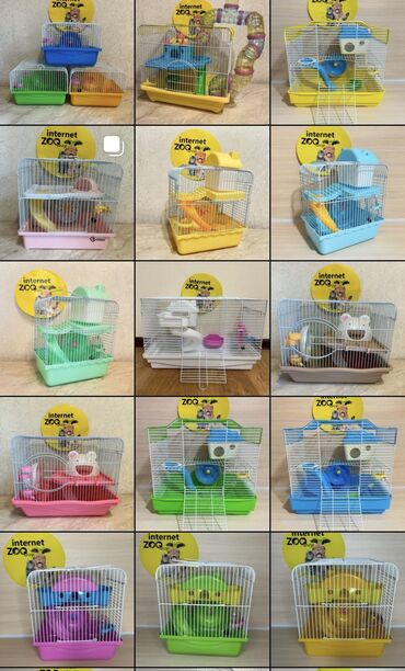 Хомяки: Продаются хомячки джунгарские, сирийские, ангорские пушистые хомячки — 26