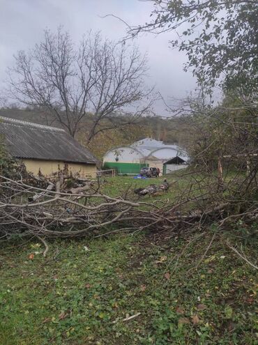 Torpaq sahələrinin satışı: 10 sot, Tikinti, Mülkiyyətçi, Kupça (Çıxarış) — 6