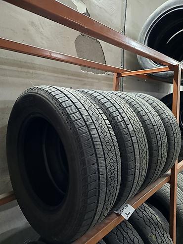 tokyo artwin: Шины 215 / 65 / R 16, Зима, Б/у, Комплект, Легковые, Италия, Pirelli — 1