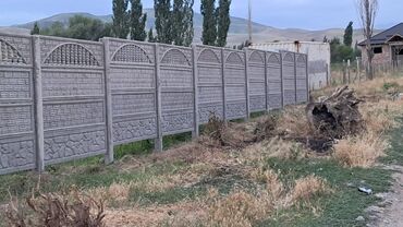 Toyota: Toyota : 2024 г. — 6