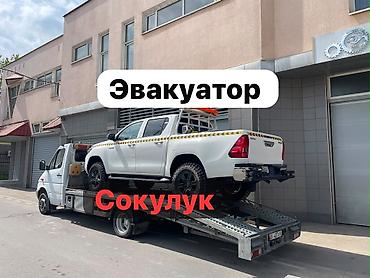 hiab 250: С лебедкой, С манипулятором, Со сдвижной платформой — 1