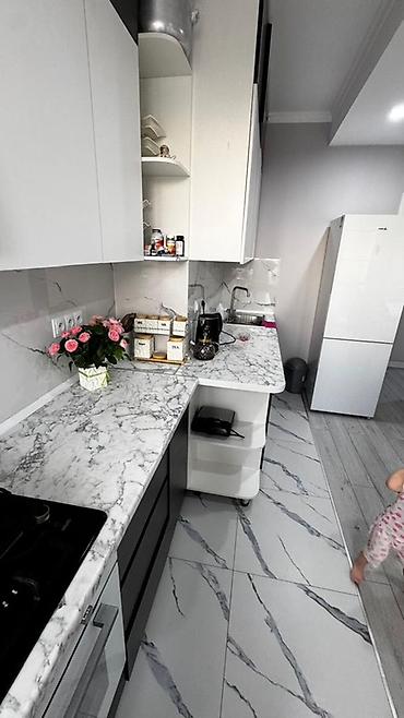 nova grant: 2 комнаты, 59 м², Филармония Элитка, 4 этаж, Свежий ремонт — 4