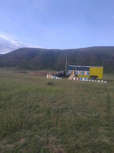 Тягачи: Тягач, ЗИЛ — 6