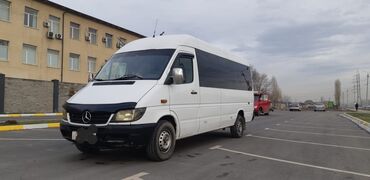 Mercedes-Benz: Mercedes-Benz Sprinter: 2002 г., 2.7 л, Механика, Дизель, Бус