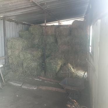 Продажа коттеджей и домов: Домовладение с хозяйственными постройками и курятником - Участок во — 10