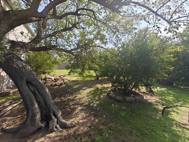 Torpaq sahələrinin satışı: 10 sot, Tikinti, Mülkiyyətçi, Kupça (Çıxarış) -da lalafo.az — 4 Torpaq sahələrinin satışı: 10 sot, Tikinti, Mülkiyyətçi, Kupça (Çıxarış) — 4